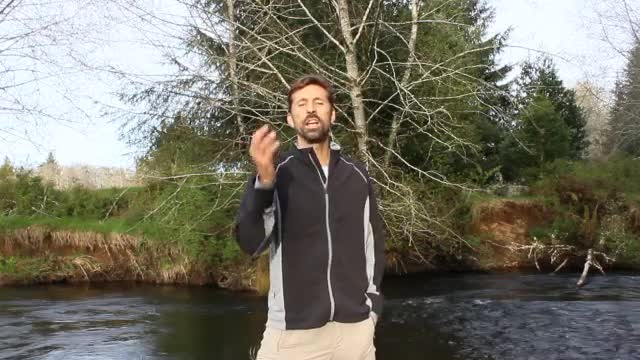 THE IMPORTANCE OF OXYGEN IN HEALTH AND HEALING - Apr 10th 2014