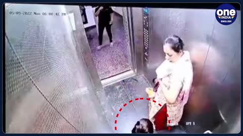 pet dog bites child in the lift