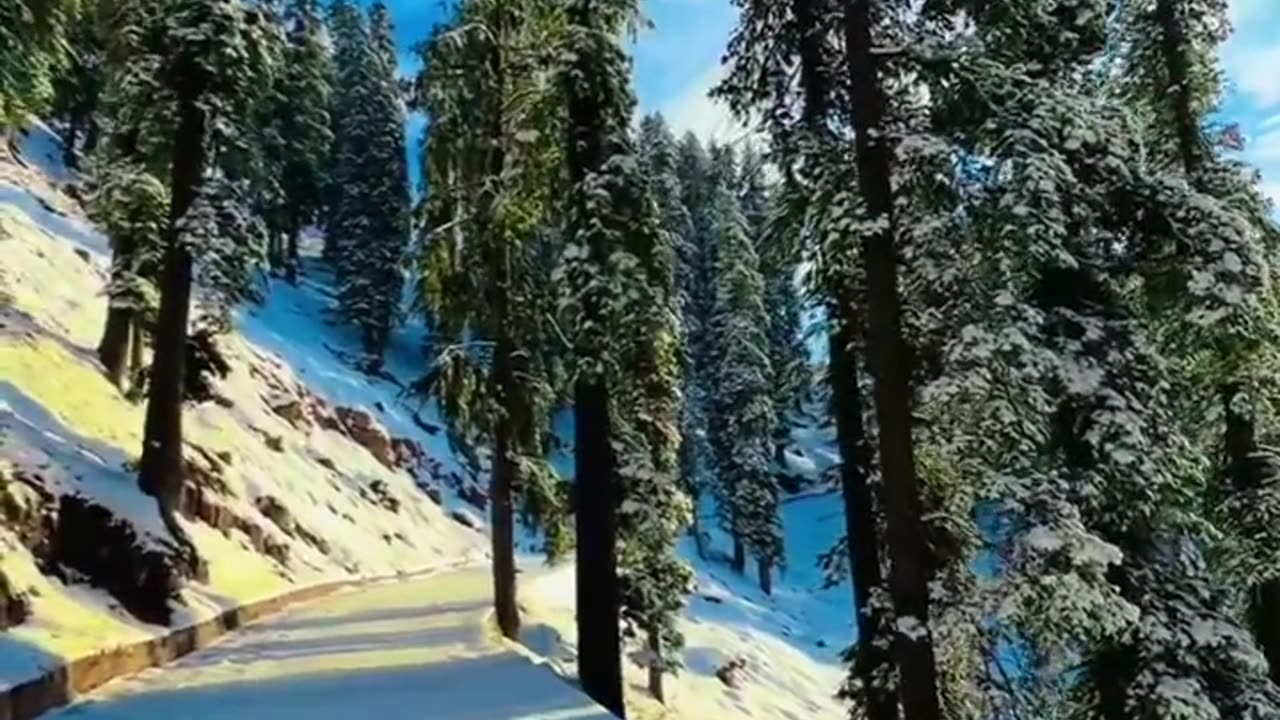 That we call the best view