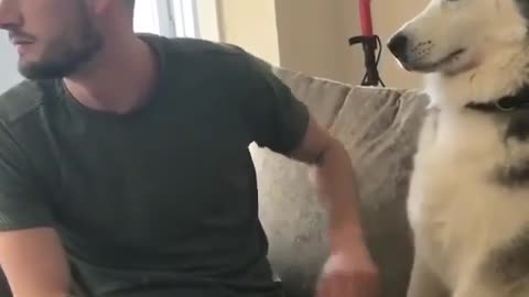 Funny dog 🐶🐕🐕✌️🐶🐶