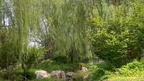 I don't think fishing is allowed here