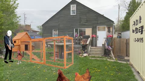 Wojak Gets Chickens!