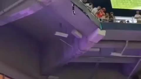 Cat Gets Saved By Football Lovers