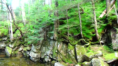 Cascades