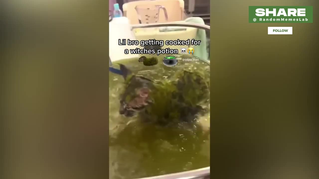 Memes legendary Try not To Laugh or die Part 4 😂😂😂