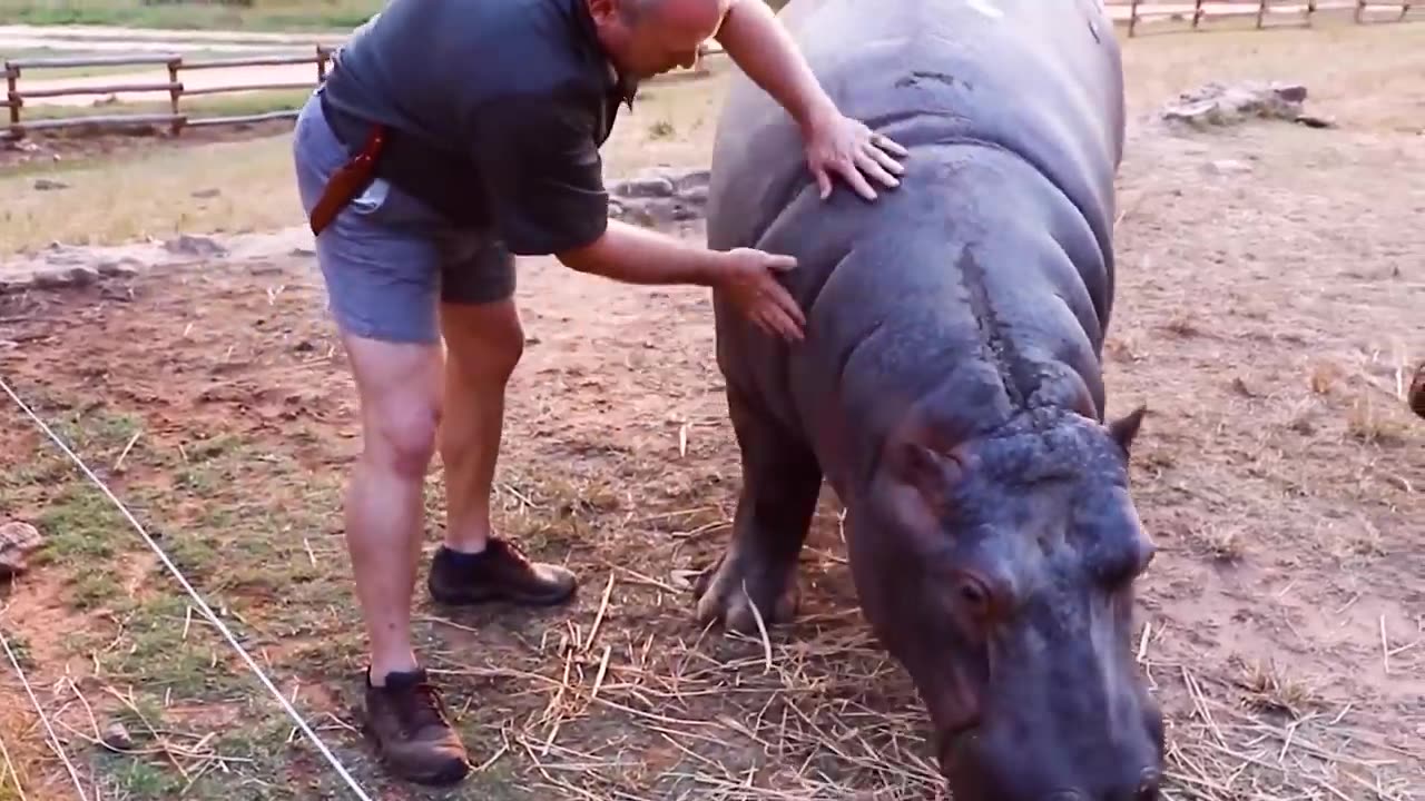 Animals Reunited With Owners After Years !