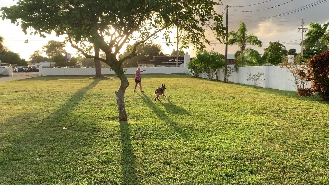 Marshall Sent Training