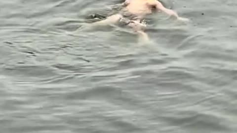 There is a big frog lost in the river.