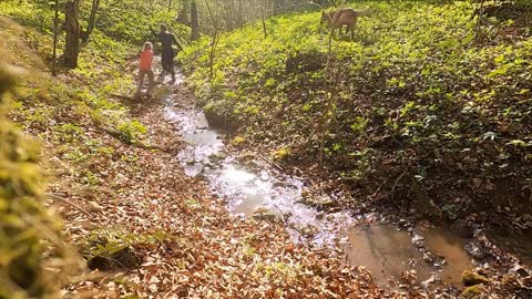 Beautiful life with walk in spring