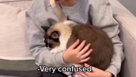 MILLIE’S_REACTION_🤣__#shorts(720p)