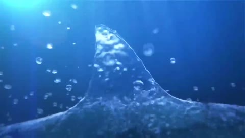 What kind of experience is the big shark formed by fantasy water?