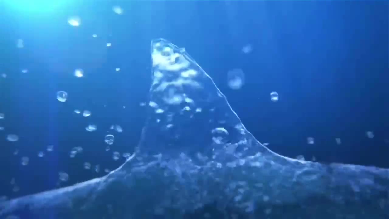 What kind of experience is the big shark formed by fantasy water?