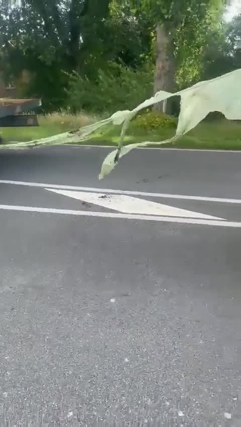 Ολλανδοί αγρότες έκλεισαν τα σύνορα Ολλανδίας Γερμανίας με τόνους κοπριάς λέει