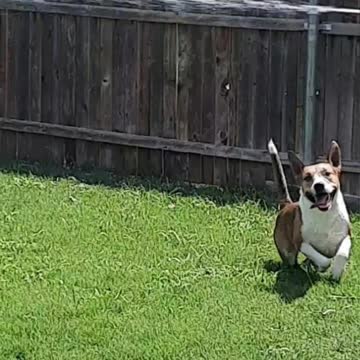 Tucker Carlson In The Pictures