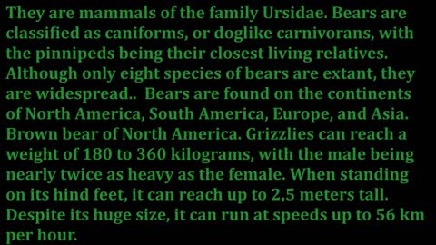 Top 10 deadliest animals in the world