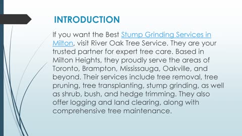 Best Stump Grinding Services in Milton