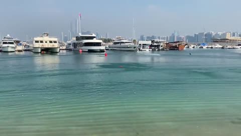 In Abu Dhabi, RC Boats Compete Traxxas M41 Spartan Mono Pro Boat