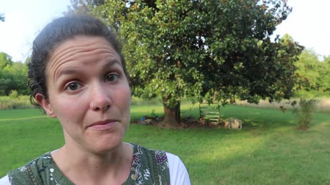 4 Must-Haves for Putting Up PIG/GOAT FENCING!
