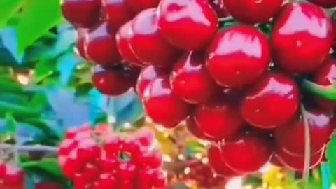 Strawberries 😋