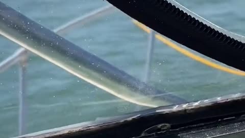 Guy Rams Into Boat with Jet Ski