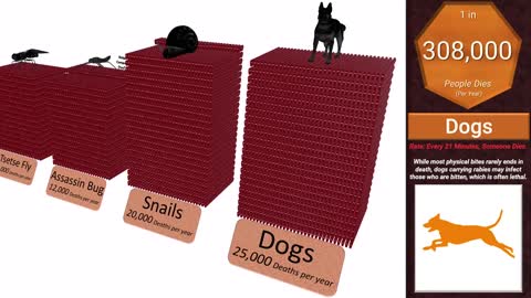 Deadliest Animal Comparison_ Probability and Rate of Death.