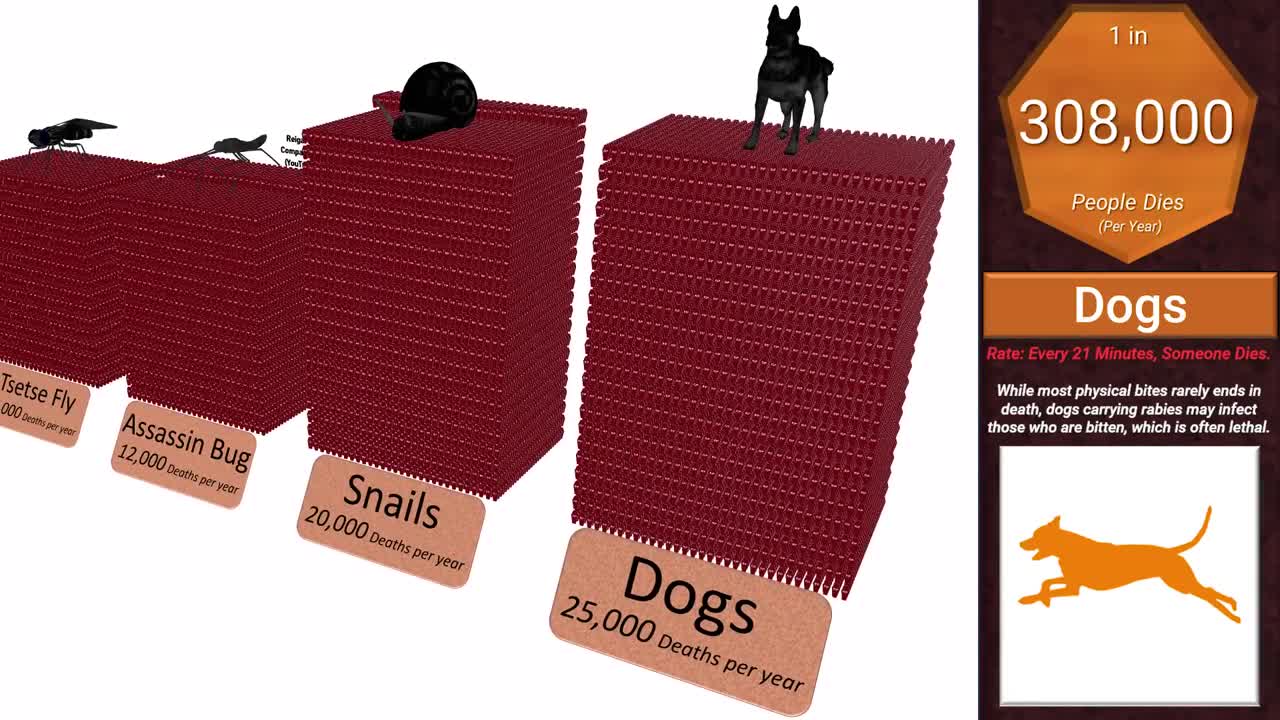 Deadliest Animal Comparison_ Probability and Rate of Death.