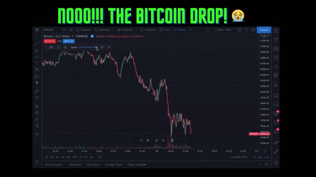 The Bitcoin dip T_T