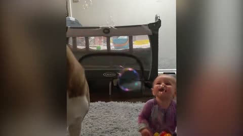 Smashing Bubble Machine