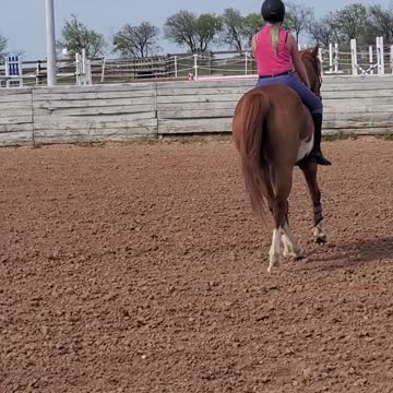 Horseback Riding Bareback Trot