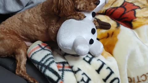 A puppy hugging a snowman friend.