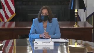 VP Harris Hosts Most BIZARRE Meeting Ever