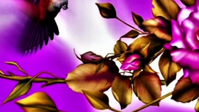 COMPOSIÇÃO...FLOR RARA