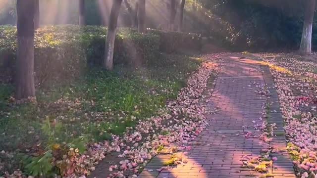 Autumn wind in Xu Lai