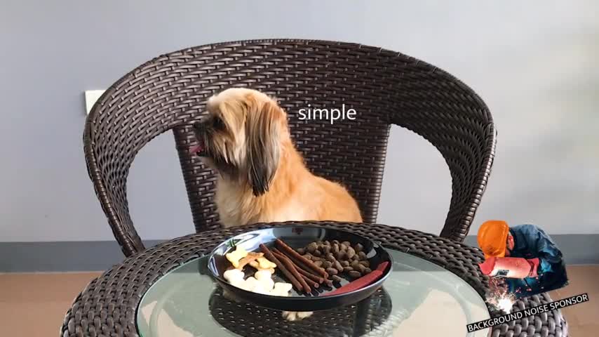 Woman leaves dog alone with a plate of treats