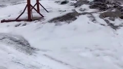 Sprinter went hunting