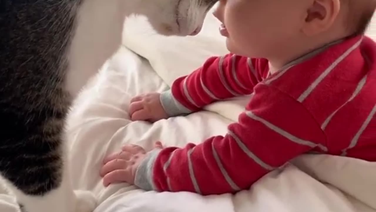 "Furry Friends and Heartwarming Moments: The Most Adorable Video the Internet Has to Offer!"