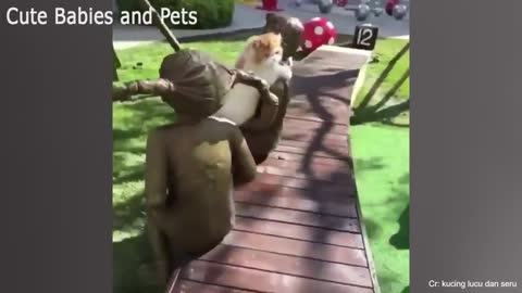 This CATS will make you LAUGH YOUR HEAD OFF 😆😹🤣 Funny CAT compilation
