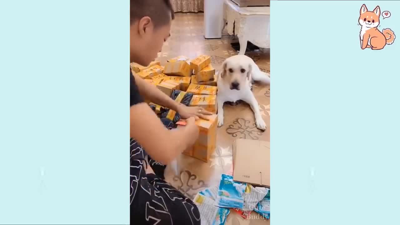 Funny Cute Puppies and Smart Dogs