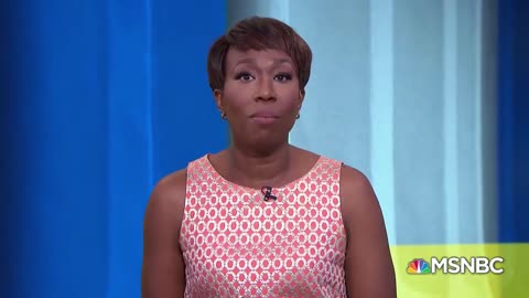 Joy Reid — I genuinely do not believe I wrote those hateful things