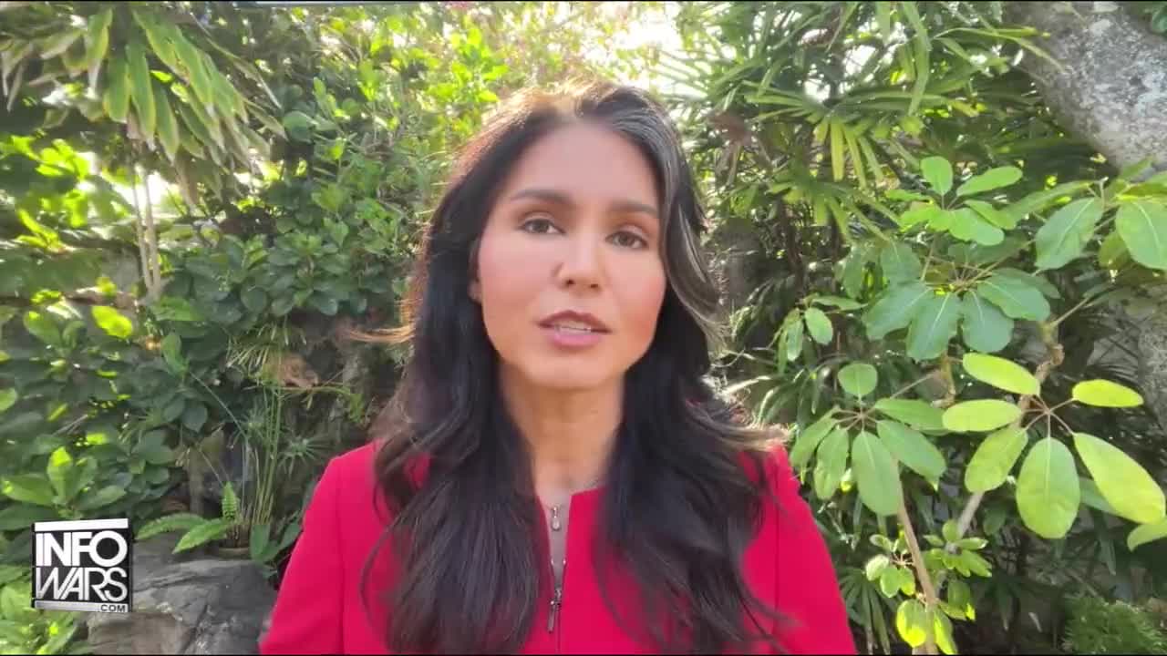 Tulsi Gabbard Attacked For Telling The Truth About U.S. Biolabs In Ukraine