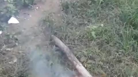 eat fish burned in Vietnam