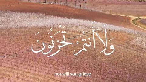 O my servants, fear not upon you today, nor shall you grieve..