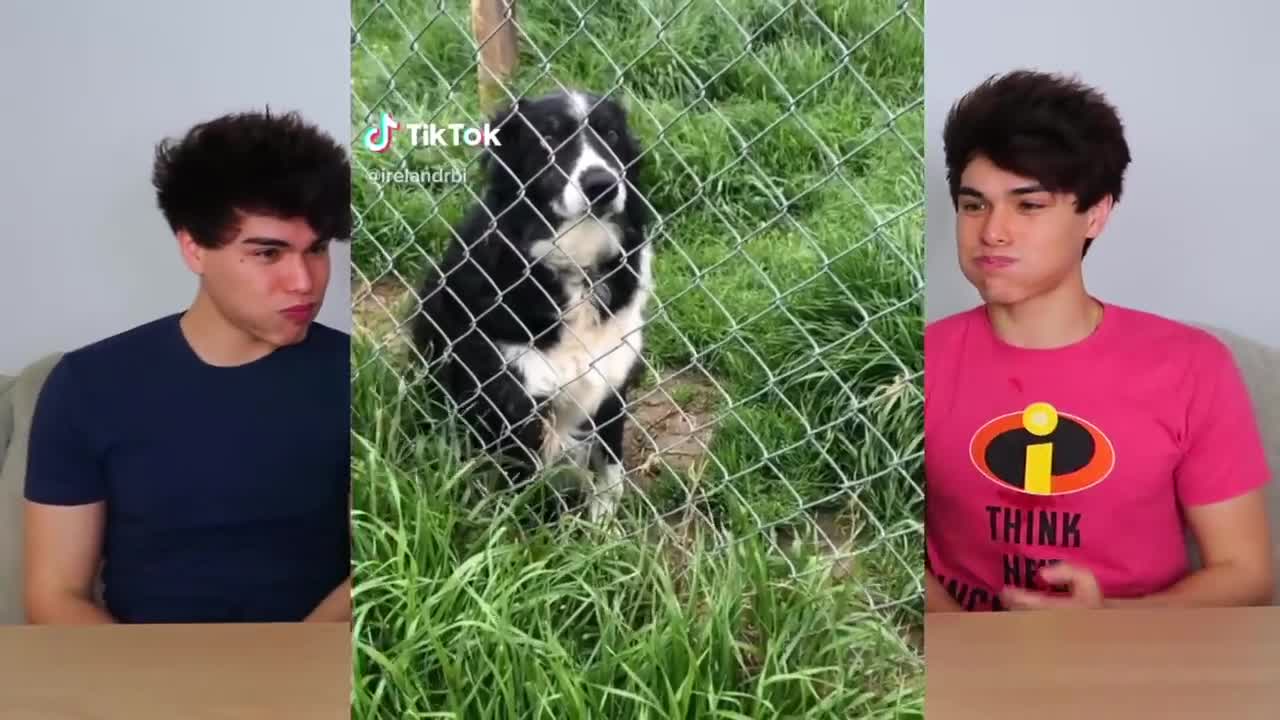 Tik Tok Stuff Try not to laugh challenge