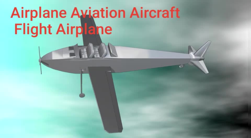 Airplane Aviation Aircraft Flight Airplane