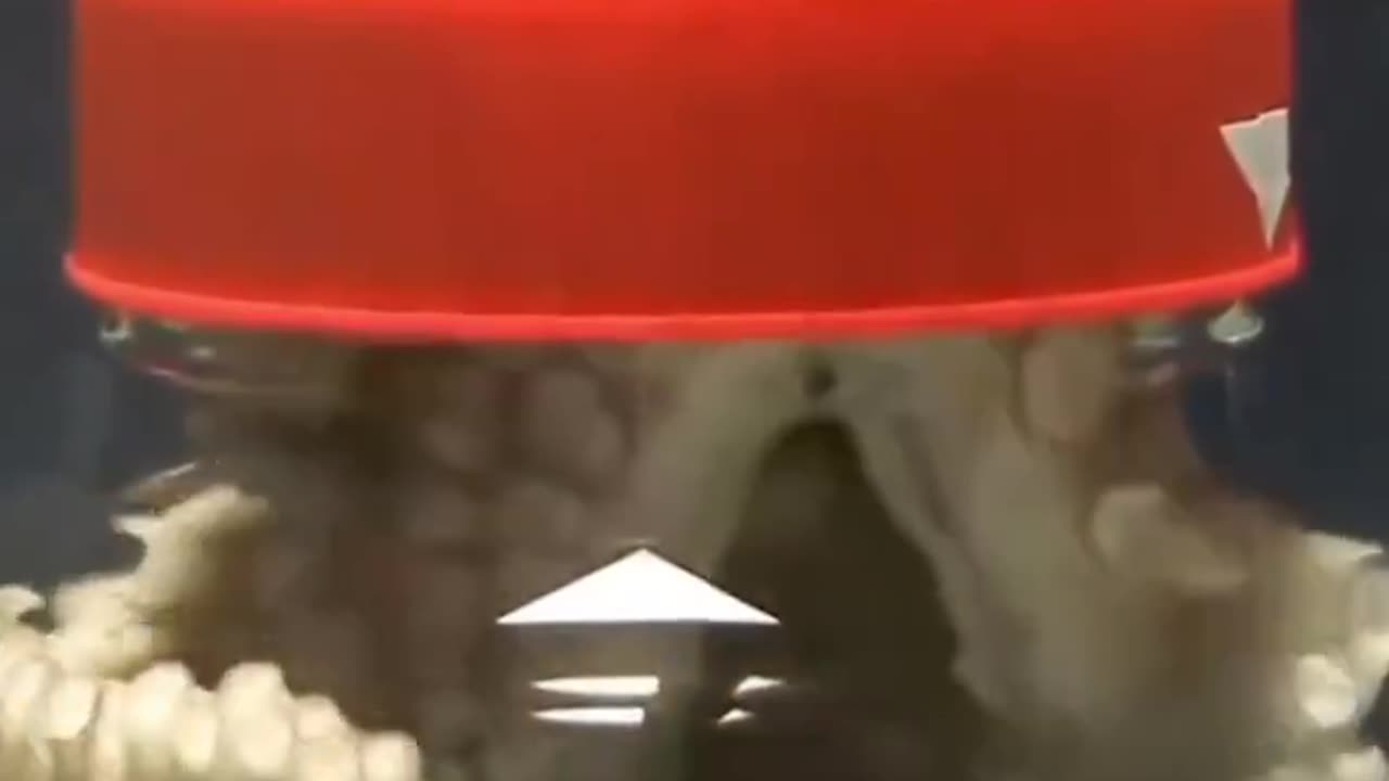 Octopus unscrewing the lid of a vase from the inside