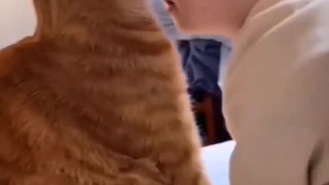 Cute cat playing with baby