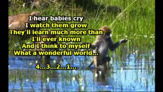 kbkaraokeking what a wonderful world (dancing version)