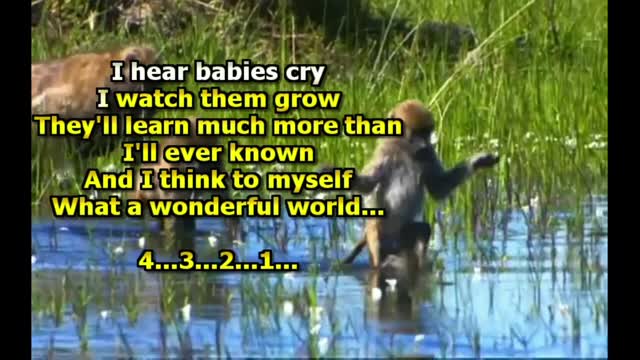 kbkaraokeking what a wonderful world (dancing version)