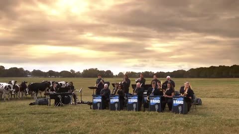 Florida dairy farmer holds concert for dairy cows