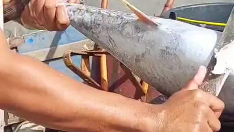 Tuna Fish Cutting #tunacutting #yellowfintuna #fishcuttingvideo #tunacuttingshow #tunacuttingskill